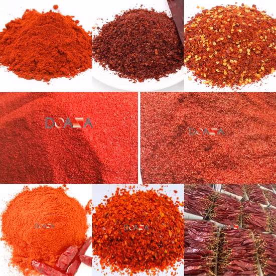 Bulk Order Cheap Price Sweet Paprika Powder for Export